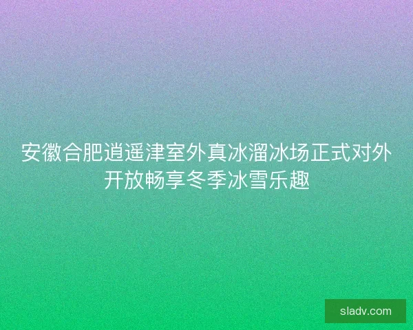 安徽合肥逍遥津室外真冰溜冰场正式对外开放畅享冬季冰雪乐趣